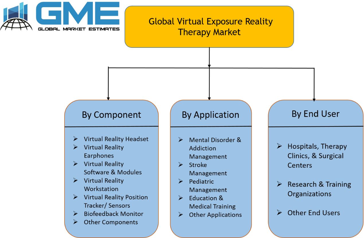 Virtual Exposure Reality Therapy Market Segmentation